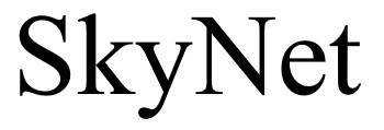 sky net
