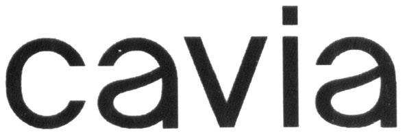 cavia