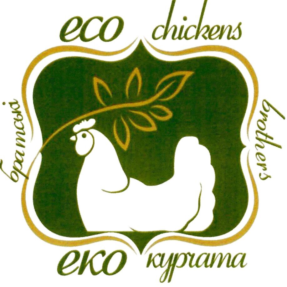 eco chickens brothers