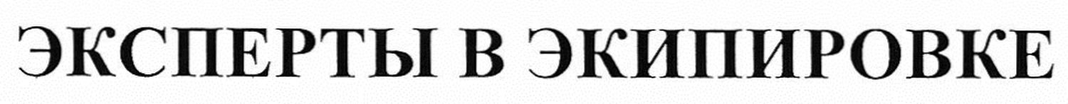 эксперты в экипировке