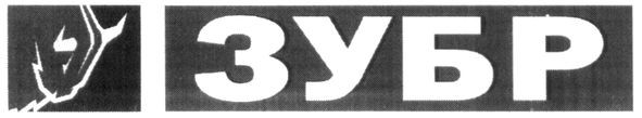 зубр