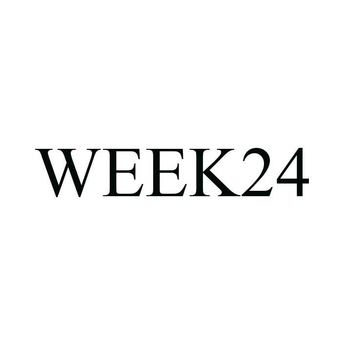 week 24