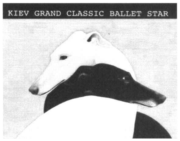 kiev grand classic ballet star