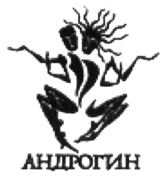 андрогин