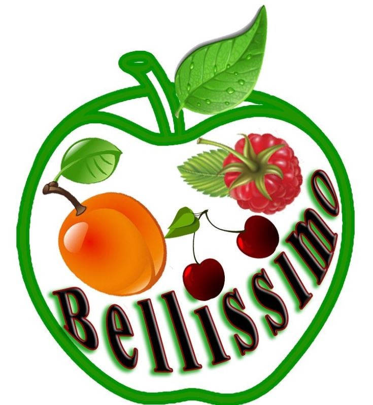 bellissimo