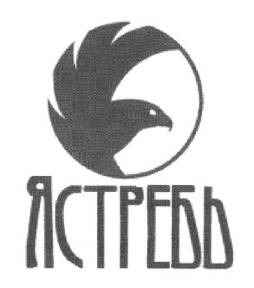 ястребь