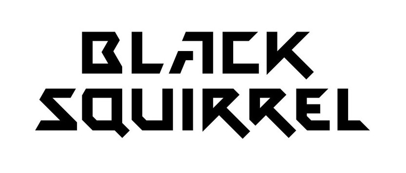 black squirrel