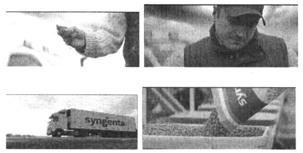 syngenta