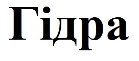 гідра