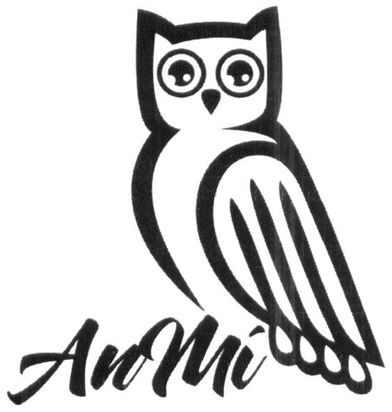 an mi