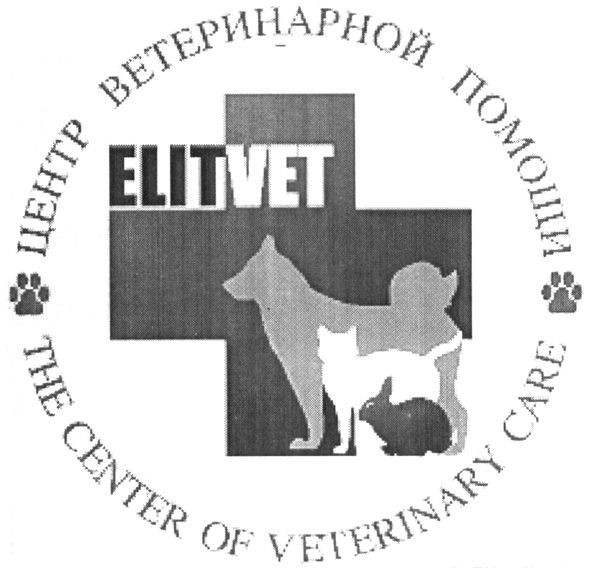 the center of veterinary care
