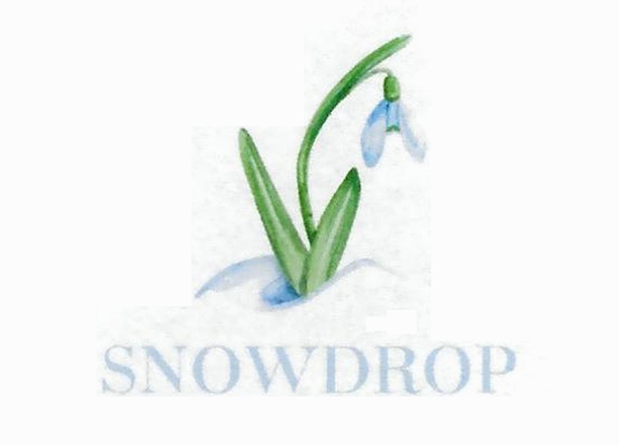 snowdrop
