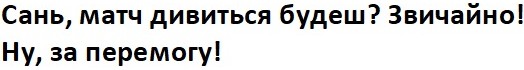 сань, матч дивиться будеш? звичайно! ну, за пермогу!