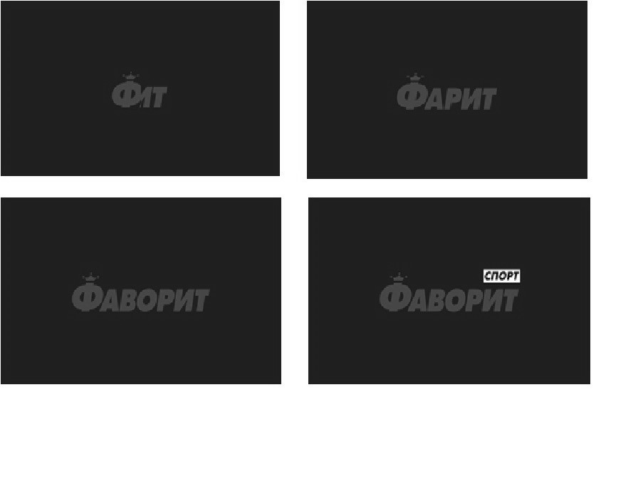 фаворит спорт