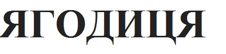 ягодиця