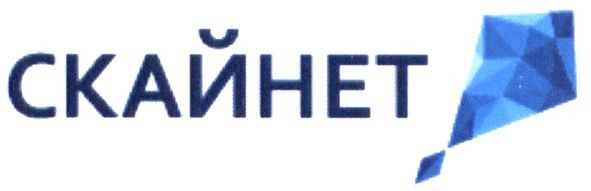 скайнет