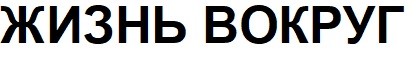 жизнь вокруг