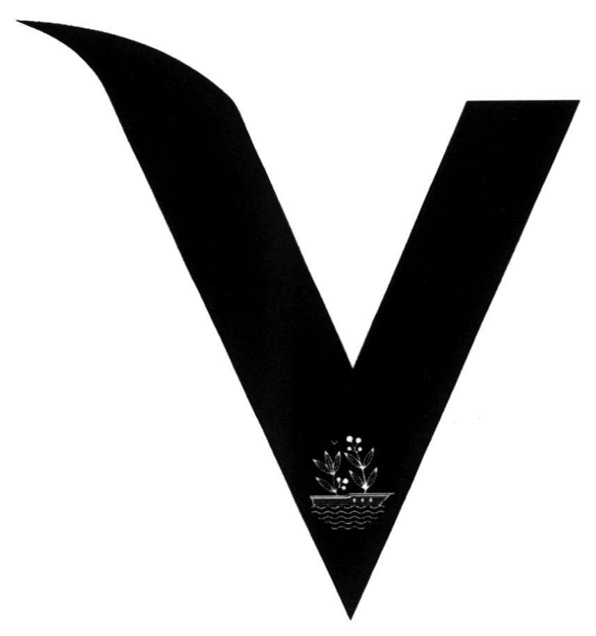 v