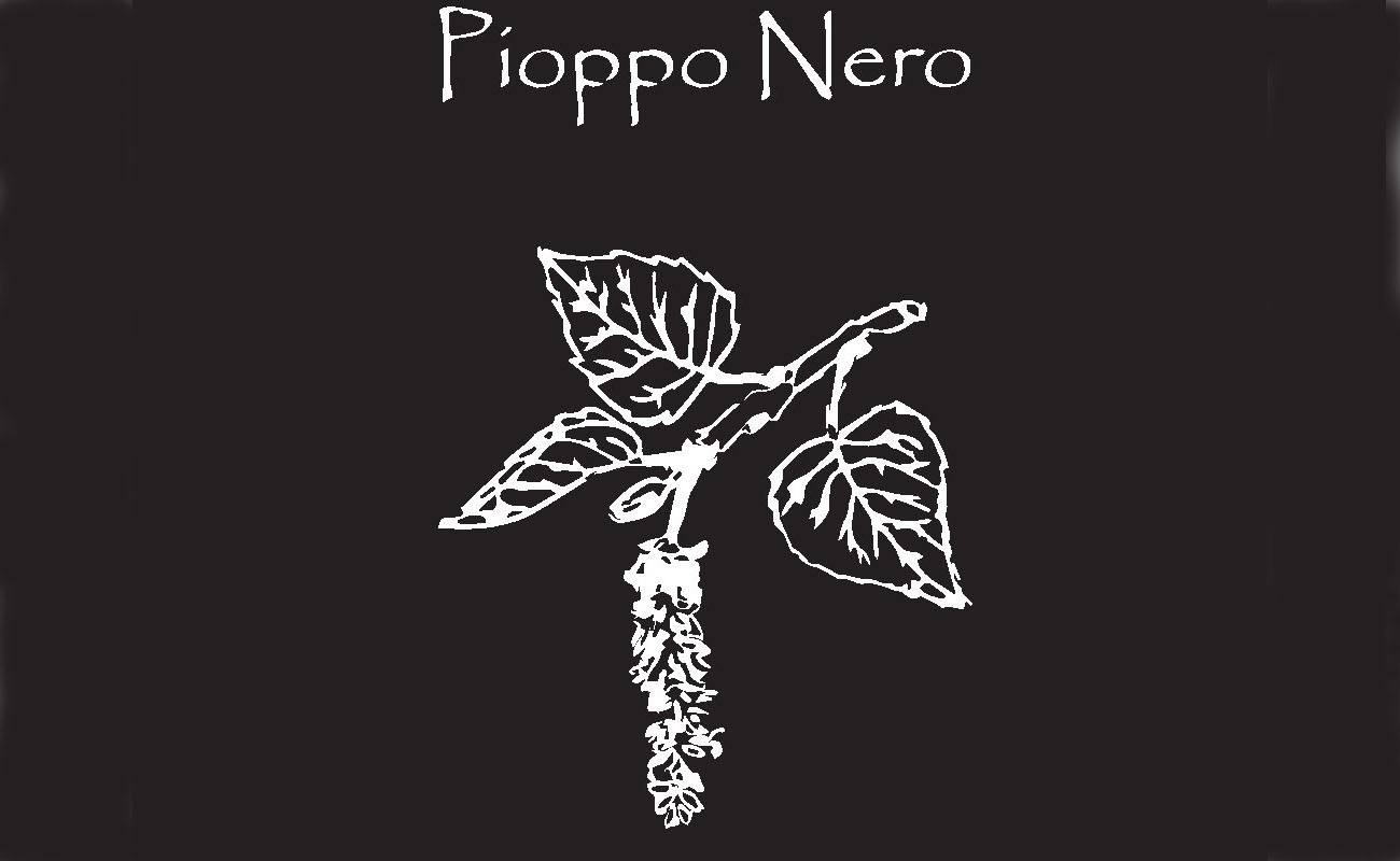 pioppo nero