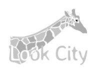 look city