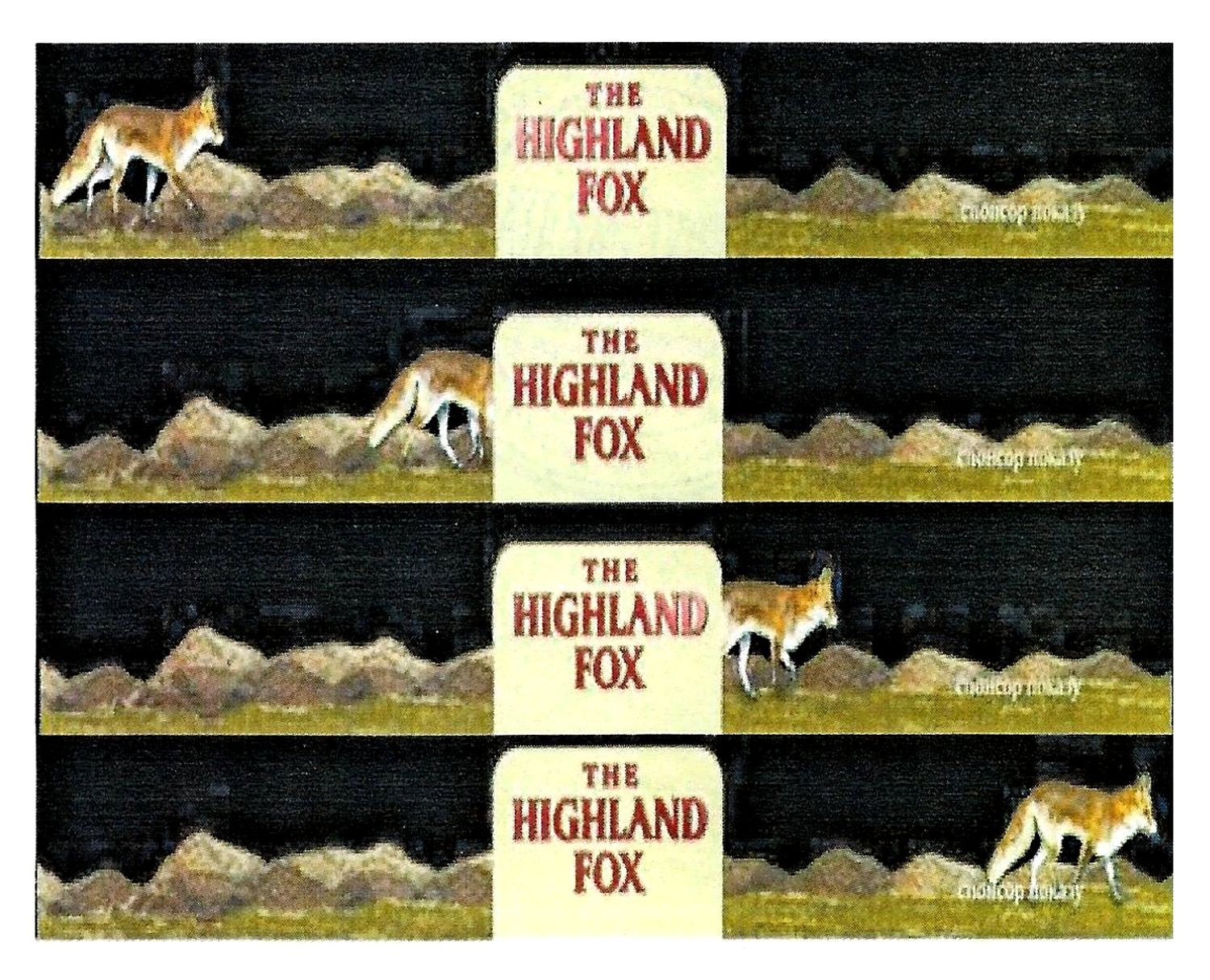 the highland fox