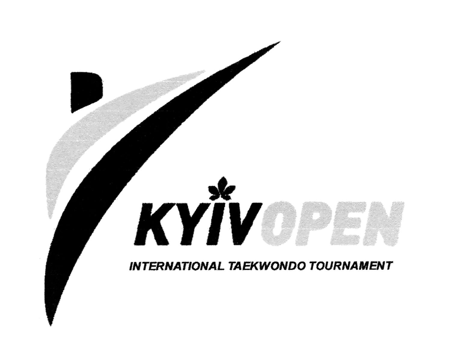 international taekwondo tournament