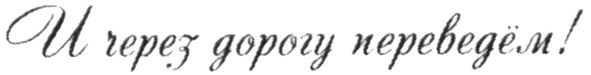и через дорогу переведём!