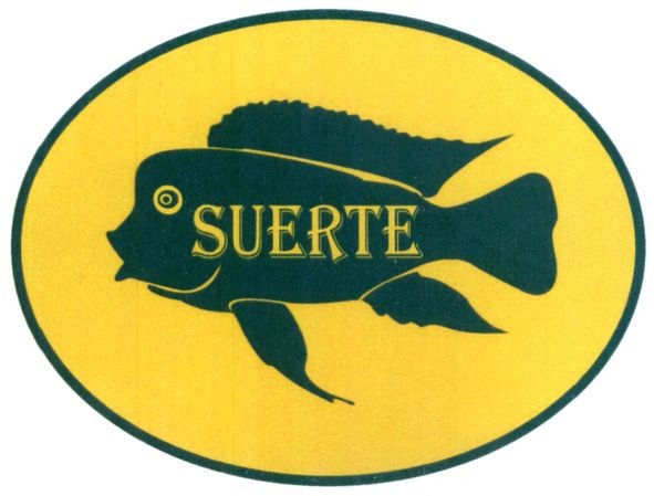 suerte