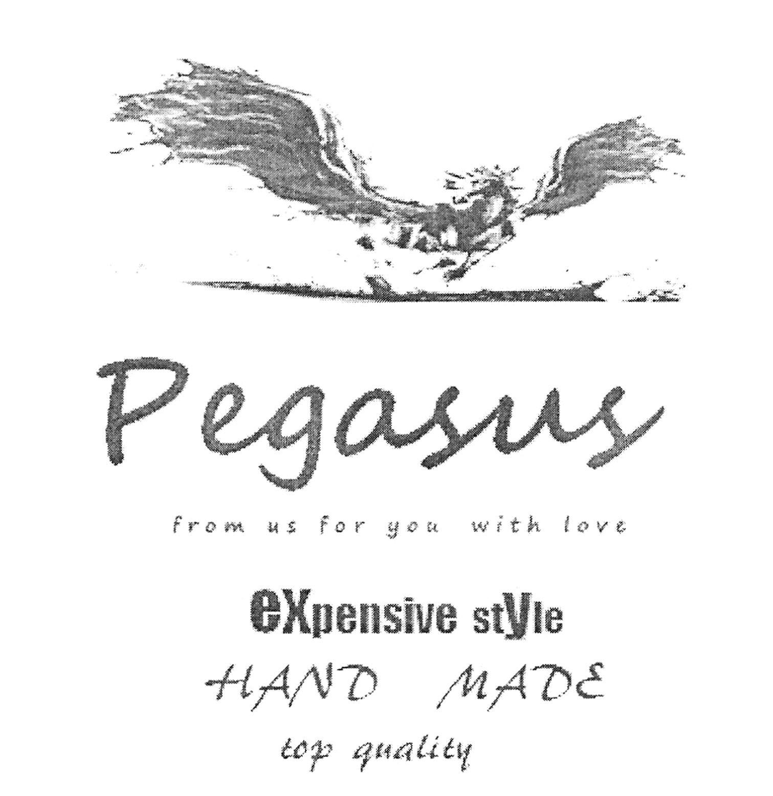 pegasus from us for you with love expensive style hand made top quality