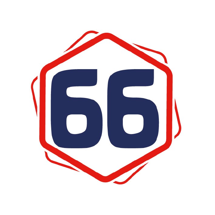 66