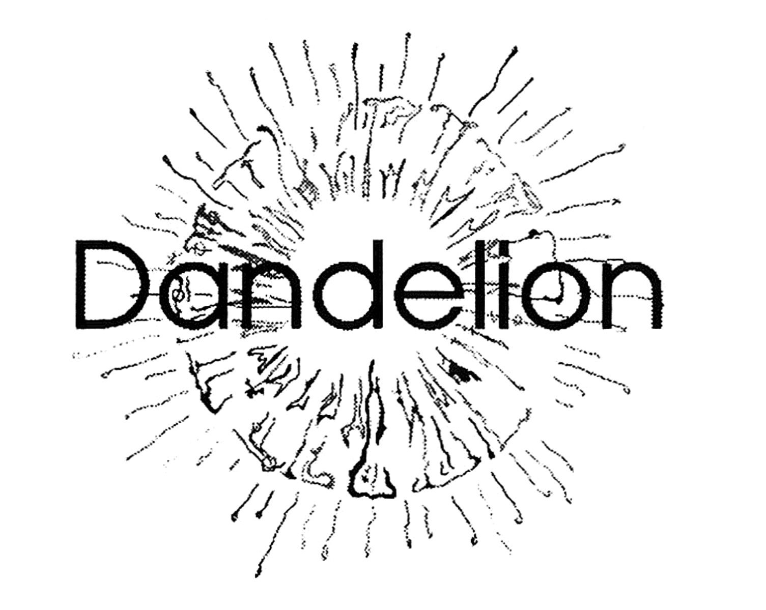 dandelion