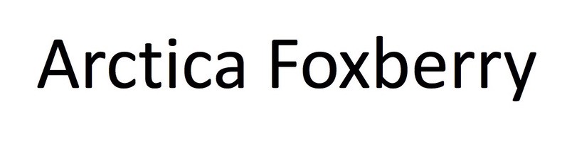 arctica foxberry