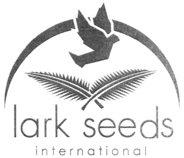 lark seeds international