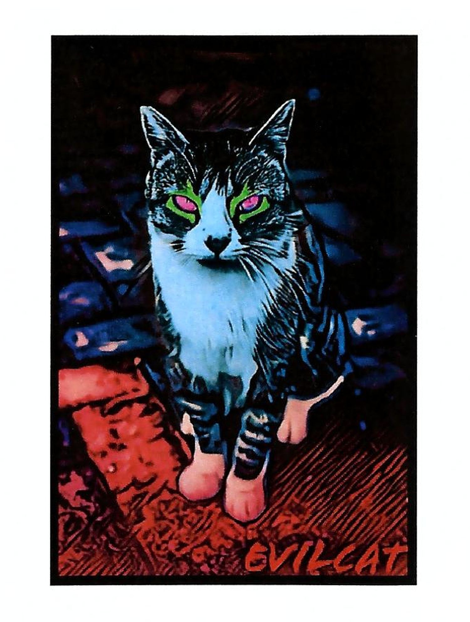 evil cat
