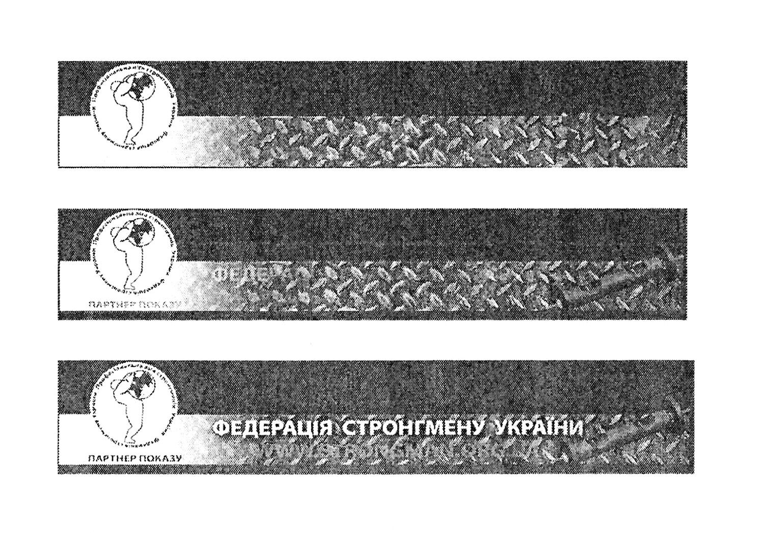 професіональна ліга стронгменів україни