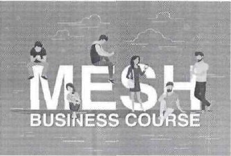 mesh business course