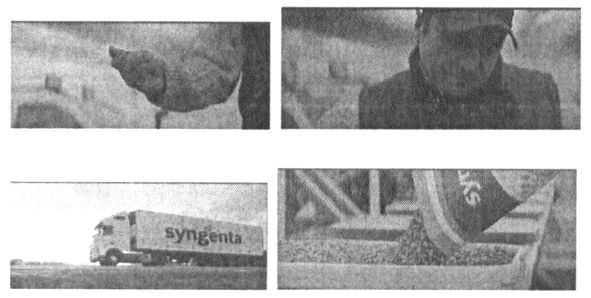 syngenta