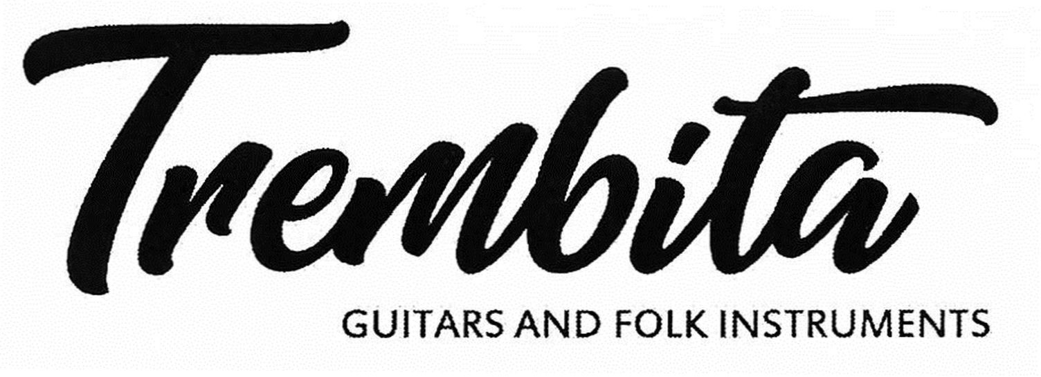 trembita guitars and folk instruments