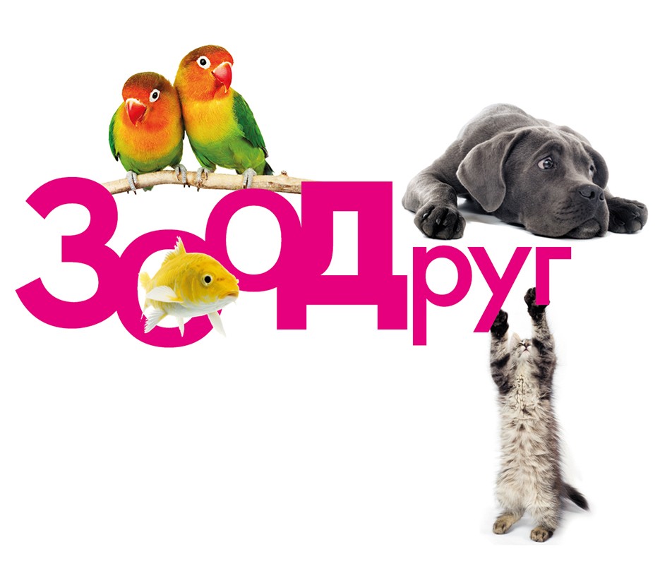 зоо друг