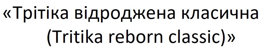 трітіка відроджена класична