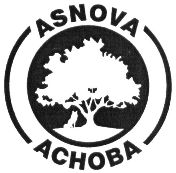 asnova