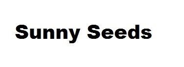 sunny seeds