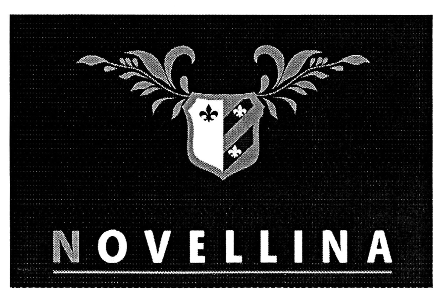 novellina
