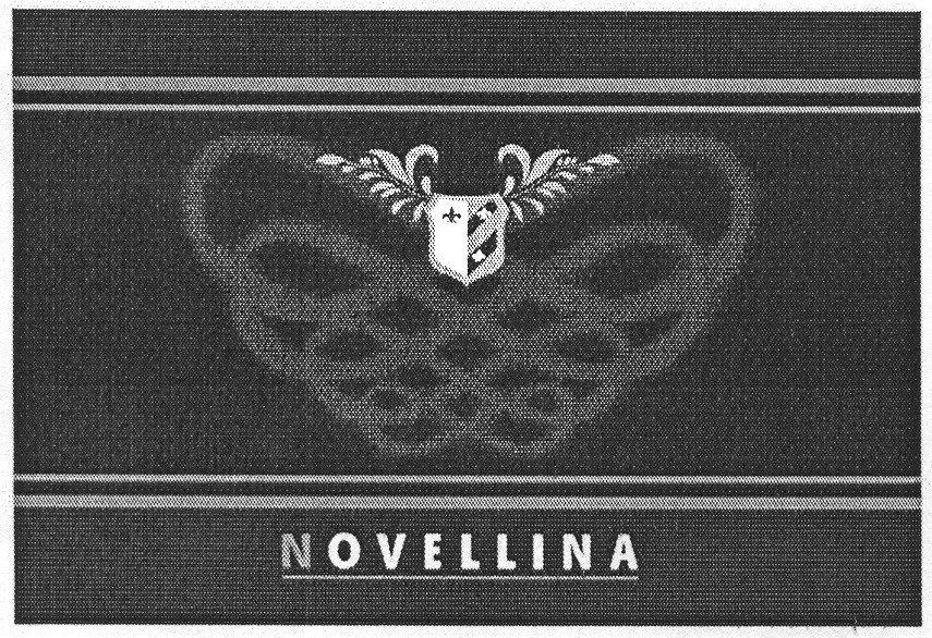 novellina