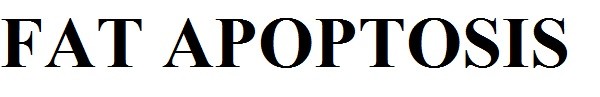 fat apoptosis