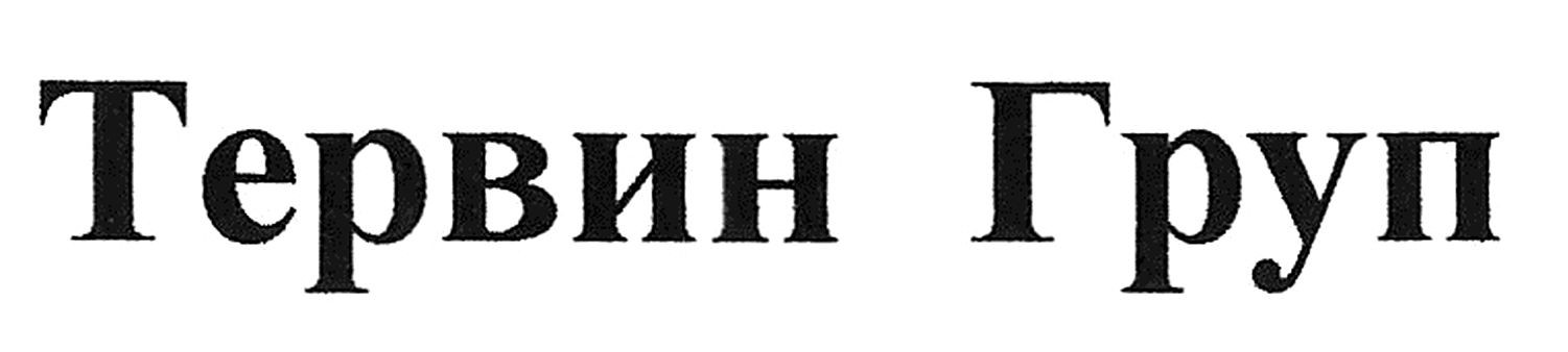 тервин груп