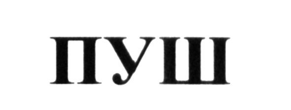 пуш