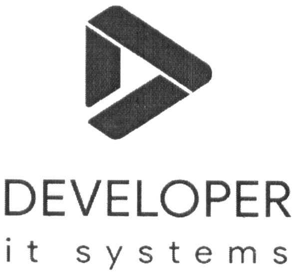 developer it systems