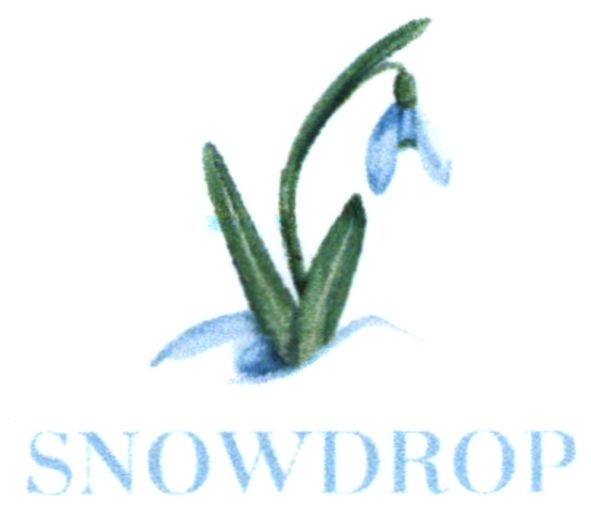 snowdrop