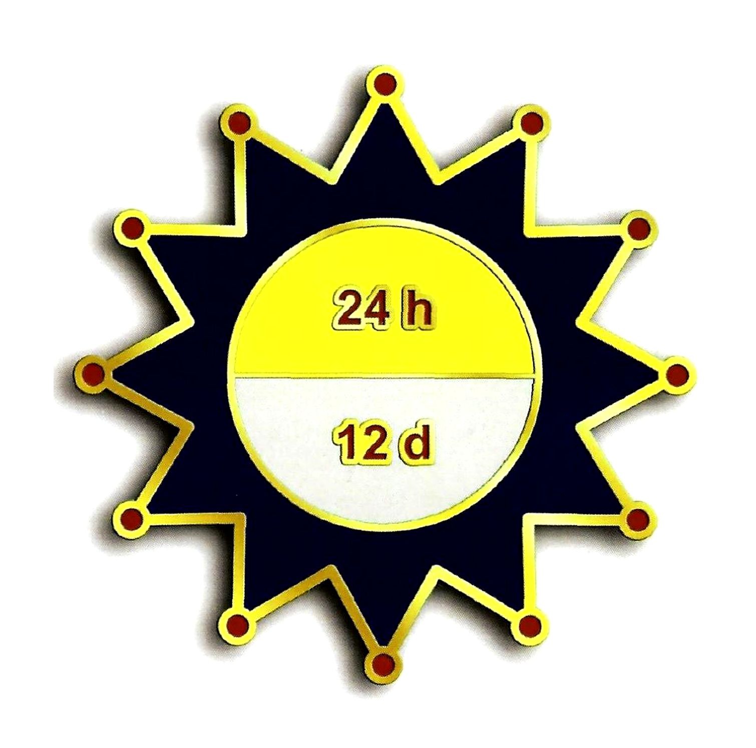24 h
